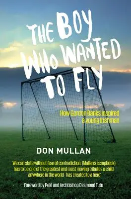 Il ragazzo che voleva volare - The Boy Who Wanted To Fly