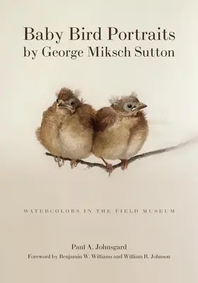 Ritratti di piccoli uccelli di George Miksch Sutton: Acquerelli al Field Museum - Baby Bird Portraits by George Miksch Sutton: Watercolors in the Field Museum