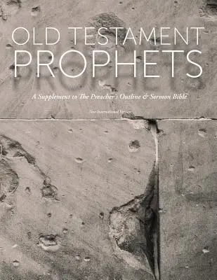 Profeti dell'Antico Testamento: Un supplemento alla Bibbia dei sermoni e dei contorni del predicatore (NIV) - Old Testament Prophets: A Supplement to The Preacher's Outline & Sermon Bible (NIV)
