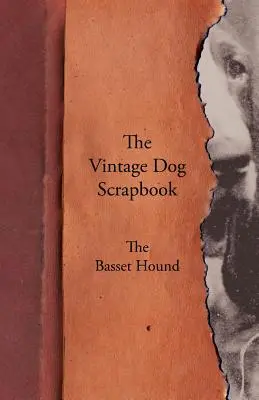 L'album dei ricordi del cane d'epoca - Il Basset Hound - The Vintage Dog Scrapbook - The Basset Hound