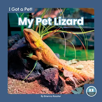 La mia lucertola - My Pet Lizard