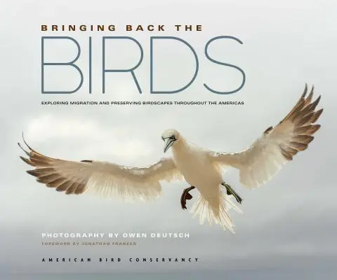 Riportare gli uccelli: Esplorare la migrazione e preservare i paesaggi di uccelli in tutte le Americhe - Bringing Back the Birds: Exploring Migration and Preserving Birdscapes Throughout the Americas