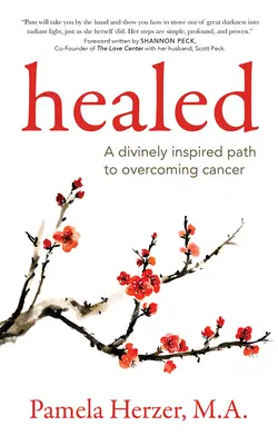 Guarito: Un percorso divinamente ispirato per sconfiggere il cancro - Healed: A Divinely Inspired Path to Overcoming Cancer