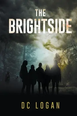Il lato positivo - The Brightside