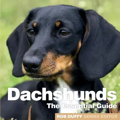 Bassotti: La guida essenziale - Dachshunds: The Essential Guide