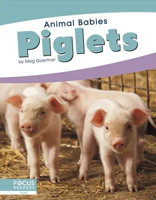 Porcellini - Piglets