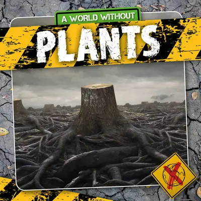 Le piante - Plants