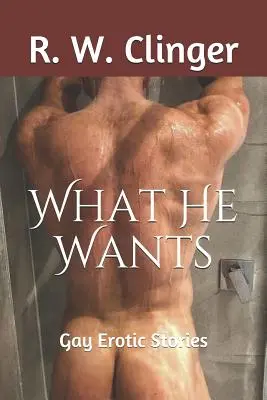 Quello che vuole: Storie erotiche gay - What He Wants: Gay Erotic Stories