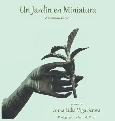 Un Jardn in miniatura - Un Jardn en Miniatura