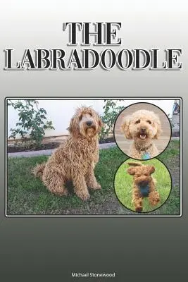 Il Labradoodle: Guida completa ed esauriente per il proprietario: Comprare, possedere, salute, toelettatura, addestramento, obbedienza, comprensione e - The Labradoodle: A Complete and Comprehensive Owners Guide to: Buying, Owning, Health, Grooming, Training, Obedience, Understanding and