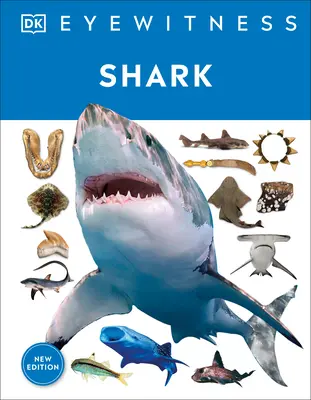 Squalo: Immergersi nell'affascinante mondo degli squali - Shark: Dive Into the Fascinating World of Sharks