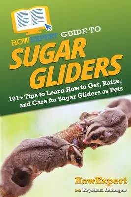 Guida per esperti agli alianti dello zucchero: 101+ consigli per imparare a prendere, allevare e curare i delfini come animali domestici - HowExpert Guide to Sugar Gliders: 101+ Tips to Learn How to Get, Raise, and Care for Sugar Gliders as Pets