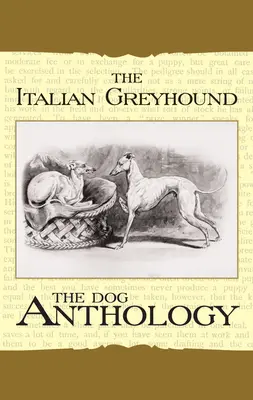 Il levriero italiano: Antologia canina - The Italian Greyhound: A Dog Anthology
