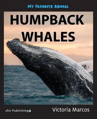 Il mio animale preferito: le megattere - My Favorite Animal: Humpback Whales