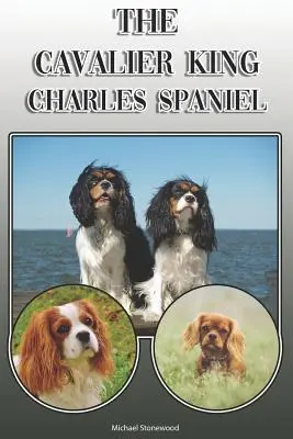 Il Cavalier King Charles Spaniel: una guida completa ed esaustiva per i proprietari: Acquisto, possesso, salute, toelettatura, addestramento, obbedienza, comprensione - The Cavalier King Charles Spaniel: A Complete and Comprehensive Owners Guide To: Buying, Owning, Health, Grooming, Training, Obedience, Understanding