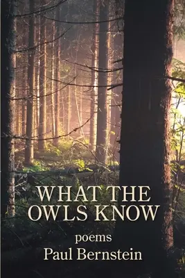 Cosa sanno i gufi - What the Owls Know
