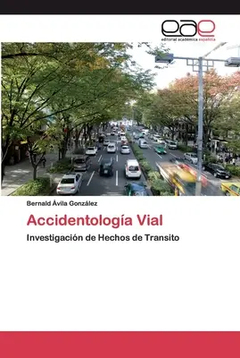 Incidentologia stradale - Accidentologa Vial