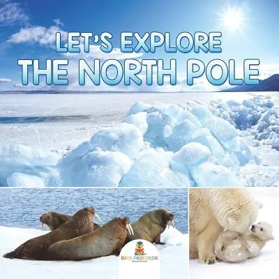 Esploriamo il Polo Nord - Let's Explore the North Pole