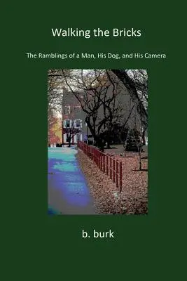 Camminare sui mattoni - Walking the Bricks