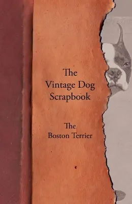 L'album dei ricordi del cane d'epoca - Il Boston Terrier - The Vintage Dog Scrapbook - The Boston Terrier