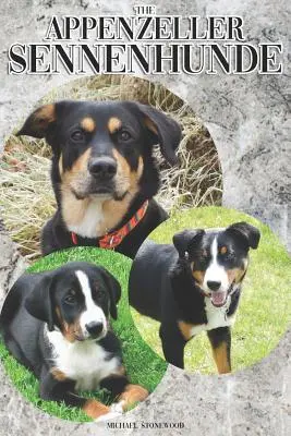 L'Appenzeller Sennenhunde: una guida completa ed esauriente per i proprietari: Acquistare, possedere, salute, toelettatura, addestramento, obbedienza, comprensione e - The Appenzeller Sennenhunde: A Complete and Comprehensive Owners Guide To: Buying, Owning, Health, Grooming, Training, Obedience, Understanding and
