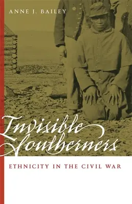 I sudisti invisibili: L'etnicità nella Guerra Civile - Invisible Southerners: Ethnicity in the Civil War