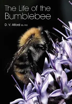 La vita del bombo - The Life of the bumblebee