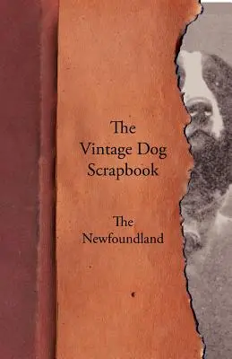 L'album dei ricordi dei cani d'epoca - Il Terranova - The Vintage Dog Scrapbook - The Newfoundland