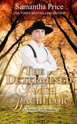 Lo scapolo amish determinato - The Determined Amish Bachelor