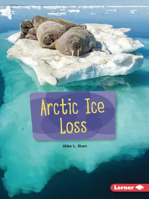 Perdita di ghiaccio artico - Arctic Ice Loss