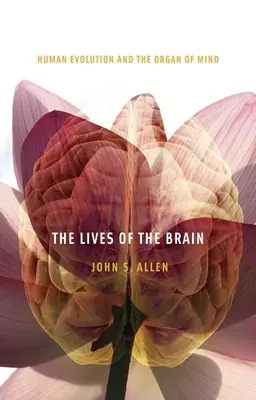 Vite del cervello: L'evoluzione umana e l'organo della mente - Lives of the Brain: Human Evolution and the Organ of Mind