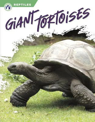 Tartarughe giganti - Giant Tortoises
