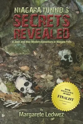 I segreti dei tunnel del Niagara svelati: Un'avventura misteriosa di Josh e Mac alle cascate del Niagara - Niagara Tunnels Secrets Revealed: A Josh and Mac Mystery Adventure in Niagara Falls