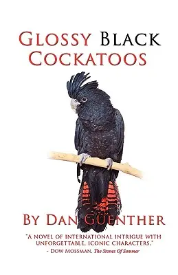 Cacatua neri lucidi - Glossy Black Cockatoos