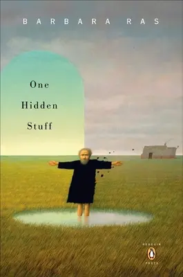 Una cosa nascosta - One Hidden Stuff
