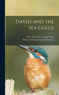 David e i gabbiani marini; - David and the Sea Gulls;