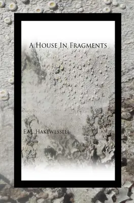 Una casa in frammenti - A House in Fragments