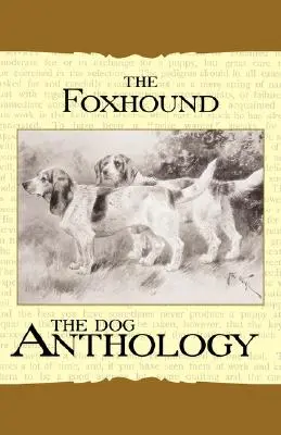 Il Foxhound e l'Harrier - Un'antologia canina (A Vintage Dog Books Breed Classic) - The Foxhound & Harrier - A Dog Anthology (A Vintage Dog Books Breed Classic)