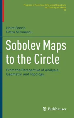 Mappe di Sobolev al cerchio: Dal punto di vista dell'analisi, della geometria e della topologia - Sobolev Maps to the Circle: From the Perspective of Analysis, Geometry, and Topology