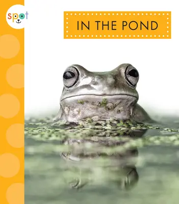 Nello stagno - In the Pond