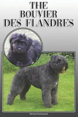 Il Bouvier Des Flandres: Una guida completa ed esaustiva per i proprietari: Acquistare, possedere, salute, toelettatura, addestramento, obbedienza, comprensione e - The Bouvier Des Flandres: A Complete and Comprehensive Owners Guide To: Buying, Owning, Health, Grooming, Training, Obedience, Understanding and