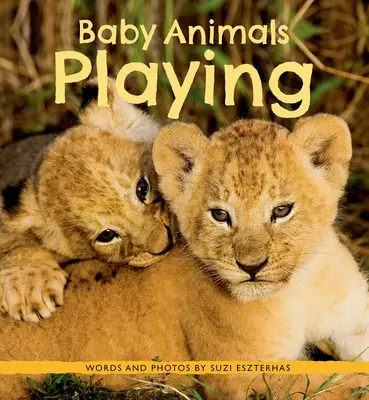 Baby animali che giocano - Baby Animals Playing