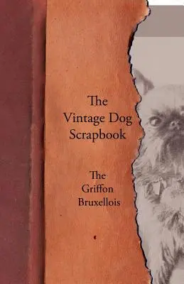 L'annuario dei cani - Il Griffon Bruxellois - The Vintage Dog Scrapbook - The Griffon Bruxellois