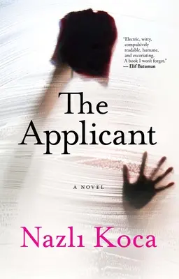 Il richiedente - The Applicant