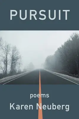Inseguimento - Pursuit