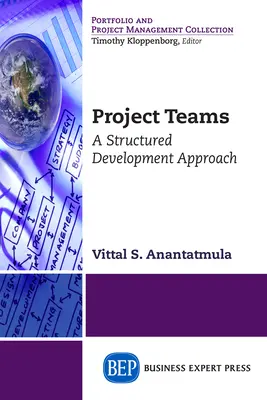 Team di progetto: Un approccio strutturato allo sviluppo - Project Teams: A Structured Development Approach