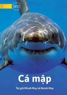 Squali - C mập - Sharks - C mập