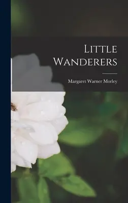 Piccoli vagabondi - Little Wanderers