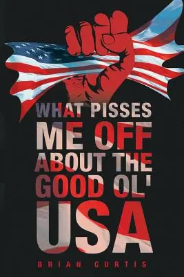Cosa mi fa arrabbiare dei buoni vecchi Stati Uniti d'America - What Pisses Me Off About The Good Ol' USA