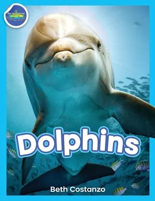 Delfini! - Dolphins!